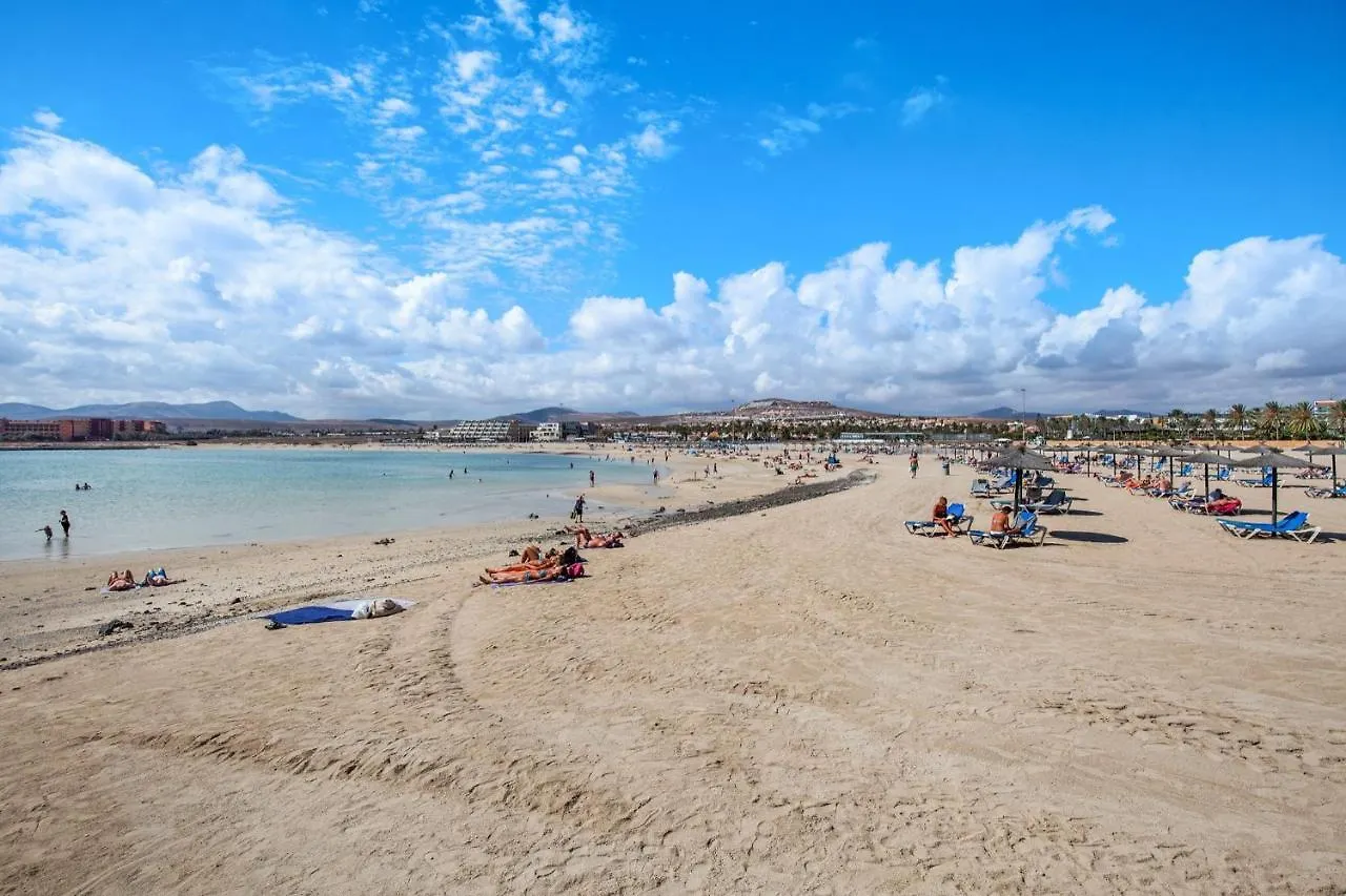 Lejlighed Surf Home Sea View Costa De Antigua Spanien